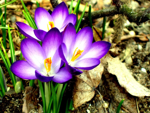 422885 (a): :1600x1200
